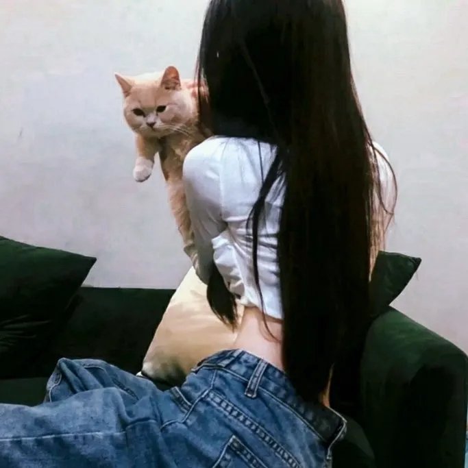 我洒顽皮豹